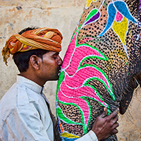 Фестиваль слонов в Джайпуре — познай мир Индии