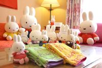 Международный День кролика: особенности празднования в Японии
